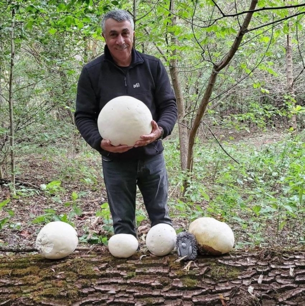 Комаровский предупредил о смертельной угрозе из-за потери обоняния