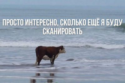 Что такое светские медитации (майндфулнесс), как влияют на психику и здоровье человека, что говорит наука