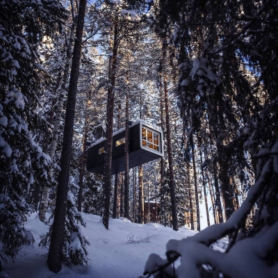 Отель в Швеции, где можно пожить на дереве в птичьем гнезде, стеклянном кубе или кабине НЛО