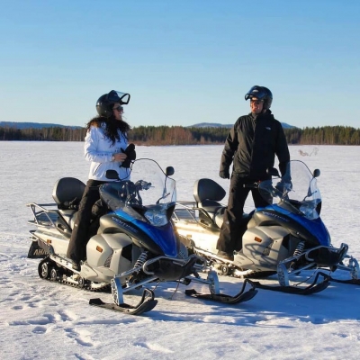 Отель в Швеции, где можно пожить на дереве в птичьем гнезде, стеклянном кубе или кабине НЛО