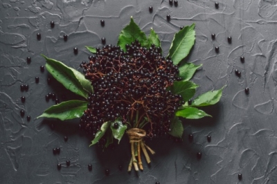 Что приготовить на Новый год Тигра &mdash; 2022, чтобы не поправиться &mdash; полезные рецепты