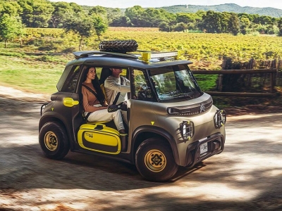 citrojon-pokazal-ochen-malenkij-i-zabavnyj-krossover-4828d5b