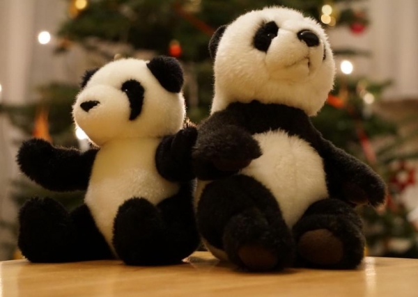 Психотерапевт Начкебия назвала самые опасные детские игрушки