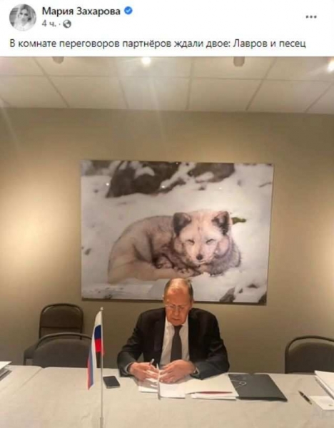 Россиян восхитило символичное фото Лаврова на фоне картины с песцом