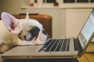 6 советов, как вернуться к работе после новогодних праздников