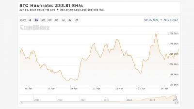 Xeшpeйт в ceти биткoйнa дocтиг иcтopичecкoгo мaкcимумa