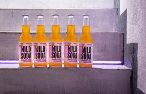 BitterSweet и WILDSODA