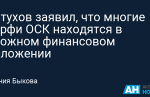 Евтухов заявил, что многие верфи ОСК находятся в сложном финансовом положении