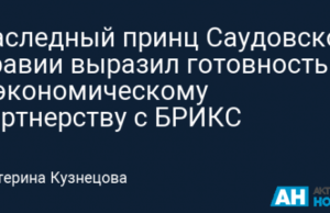 Наследный принц Саудовской Аравии выразил готовность к экономическому партнерству с БРИКС