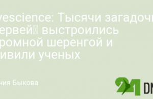 Livescience: Тысячи загадочных «червей» выстроились огромной шеренгой и удивили ученых