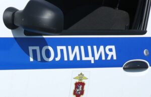 Московские полицейские приняли роды у женщины на улице