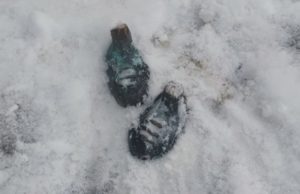 В Москве задержаны похитившие бронзовый памятник из парка школьники-вандалы