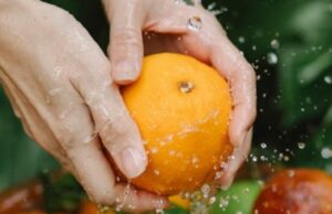 Учёный Быстров рассказал, какие продукты нельзя мыть перед приготовлением