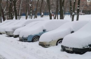 Накрывший Москву циклон «Ольга» заставил ученых заговорить об изменении климата
