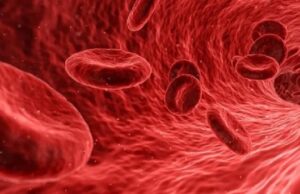 Allergy: Учёные выяснили, что диета донора крови может влиять на успех переливания