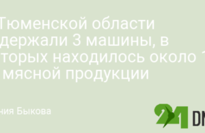 В Тюменской области задержали 3 машины, в которых находилось около 100 кг мясной продукции