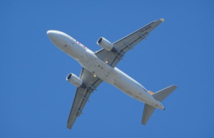 TourDom: Россиянин пожаловался на русофобию авиакомпании Turkish Airlines и подал заявление в МИД и ООН