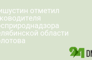 Мишустин отметил руководителя Росприроднадзора Челябинской области Болотова