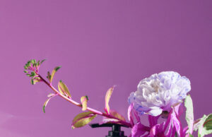 CHA U KAO представляет первое средство для тела