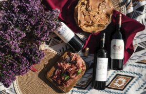 «Хорошая компания на майские» — серия винных сетов от SEPTA