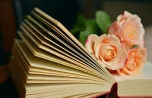 РБК: Авторы, написавшие книги под псевдонимом, могут лишиться правообладания
