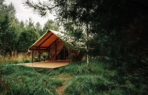 «Жизнь-Угра!»: жизнь в лесу как в сказке