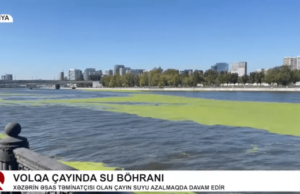 Спасение Каспийского моря: предложения Юрия Коробова