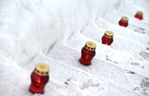 Российские учителя провели за рубежом мероприятия к годовщине снятия блокады Ленинграда