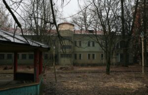 148 миллионов за историю: кто станет новым владельцем легендарного сада со слониками