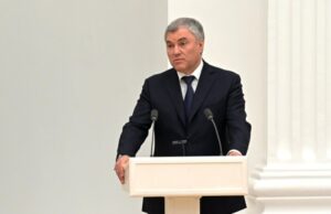 Вячеслав Володин предложил создать рабочую группу по законопроекту о защите русского языка