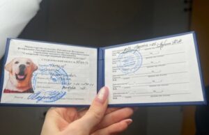В России с Нового года появились четвероногие студенты