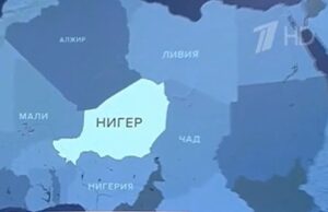 День российской культуры провели в Нигере
