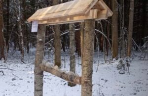 В лесах Новой Москвы появились солонки для копытных