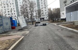 Поваленные деревья, раздавленные авто: предсказанный шторм накрыл Москву и Подмосковье