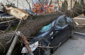 Поваленные деревья, сорванные куски кровли и радуга: как столица пережила 9-балльный шторм