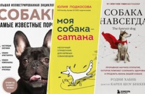 Лучшие книги о воспитании собак — топ-10 лучших книг о собаках
