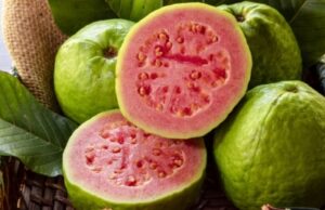 Гуава: что это за фрукт, на что похожа, как едят, фото, вкус, польза и вред