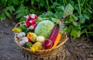 Гликемическая ловушка: что это, 7 продуктов, повышающих уровень сахара в крови
