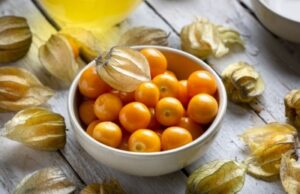 Физалис: что это, вкус, польза и вред, как его едят