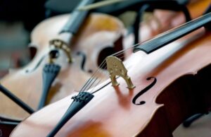 Российский скрипач завоевал Гран-при конкурса «Симфония Ямала»