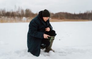 Как ловить плотву зимой: снасти, способы ловли, техника, места обитания