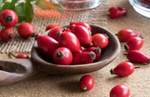 Шиповник: польза и вред для здоровья мужчин, женщин, противопоказания