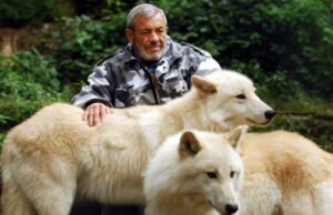 Вернер Фройнд, волки, заклинатель волков