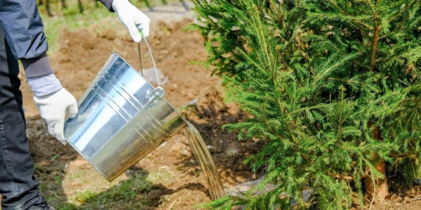 3075d2030c1481c1390eb67131ef9f20