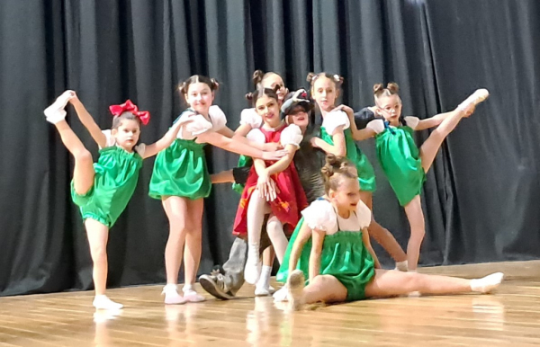 В Сербии прошли творческие мастерские, кинопоказы и концерт в рамках Дней российской культуры