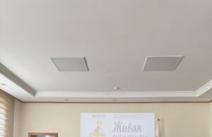 Школьный этап конкурса чтецов «Живая классика» прошёл в Улан-Баторе