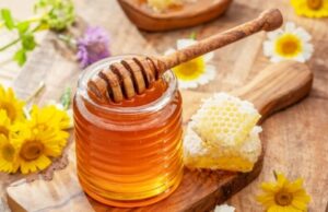 Мёд: польза и вред для организма мужчин, женщин, противопоказания
