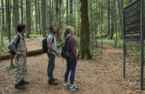 Топ-7 самых опасных и страшных лесов мира – список