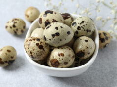 Перепелиные яйца: польза и вред для организма мужчин, женщин, противопоказания