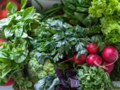 Топ-5 самой полезной зелени для организма человека, для мужчин, женщин: список